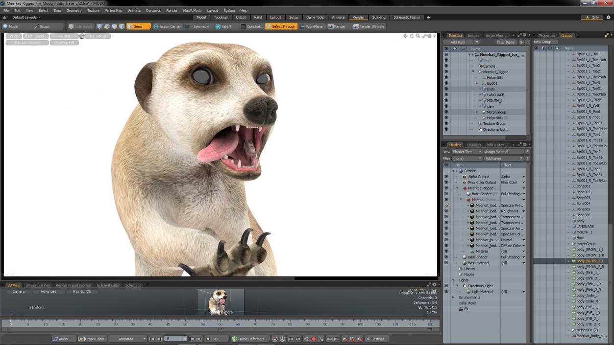 3D model Meerkat Rigged for Modo 3