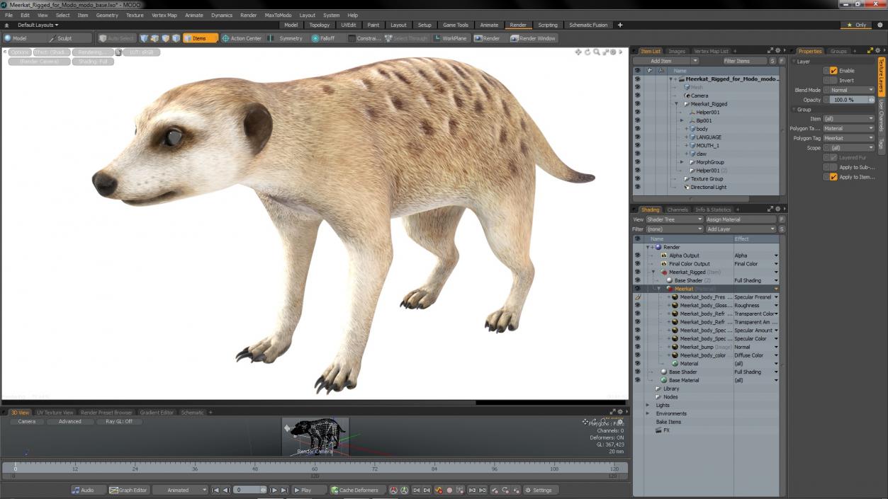 3D model Meerkat Rigged for Modo 3