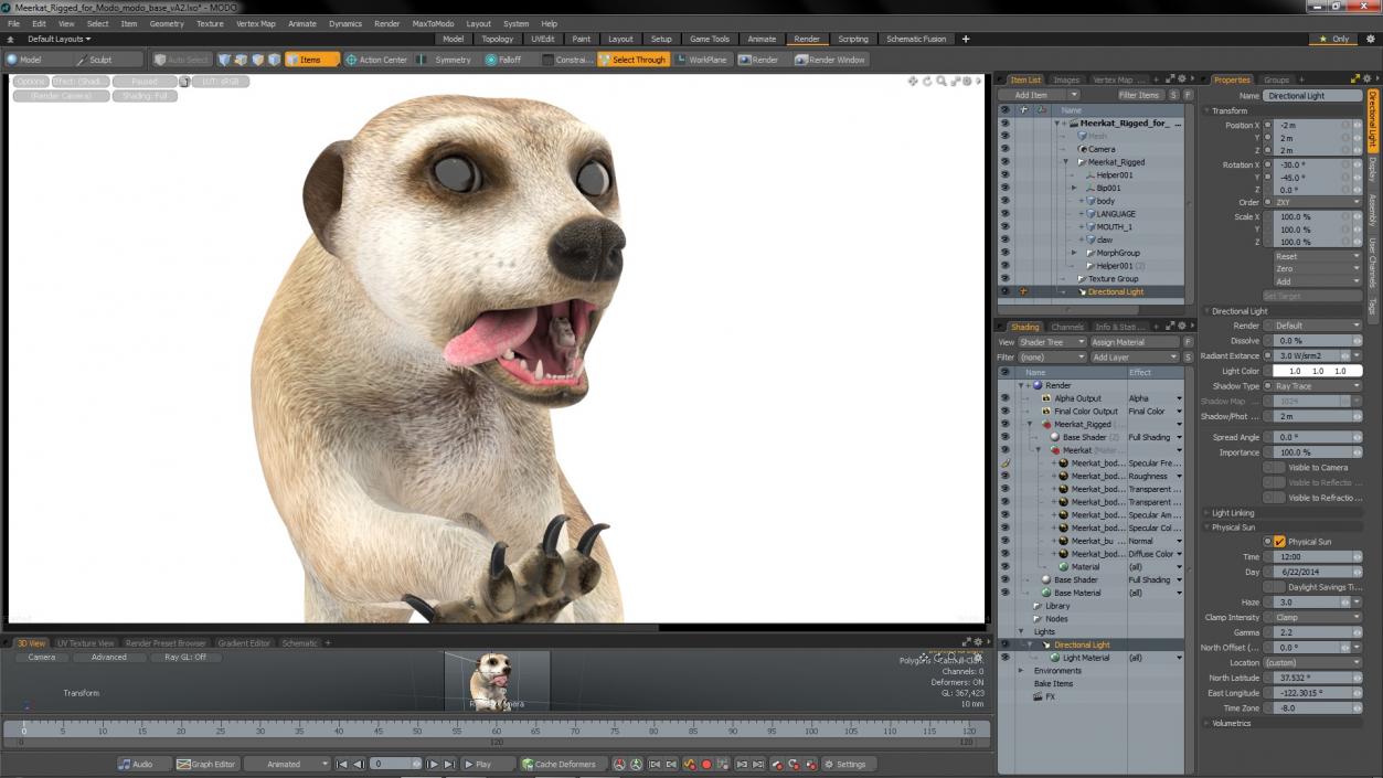 3D model Meerkat Rigged for Modo 3