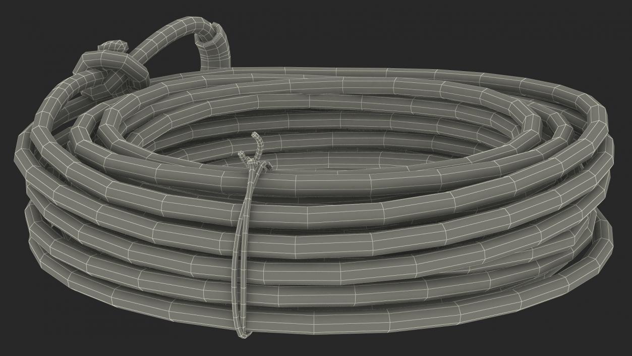 3D Rodeo Lasso Rope Folded model