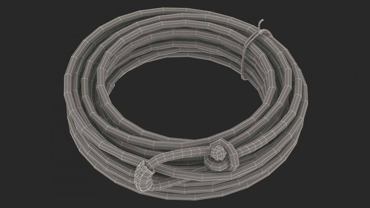 3D Rodeo Lasso Rope Folded model