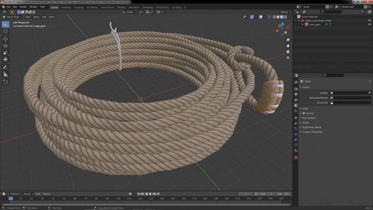 3D Rodeo Lasso Rope Folded model