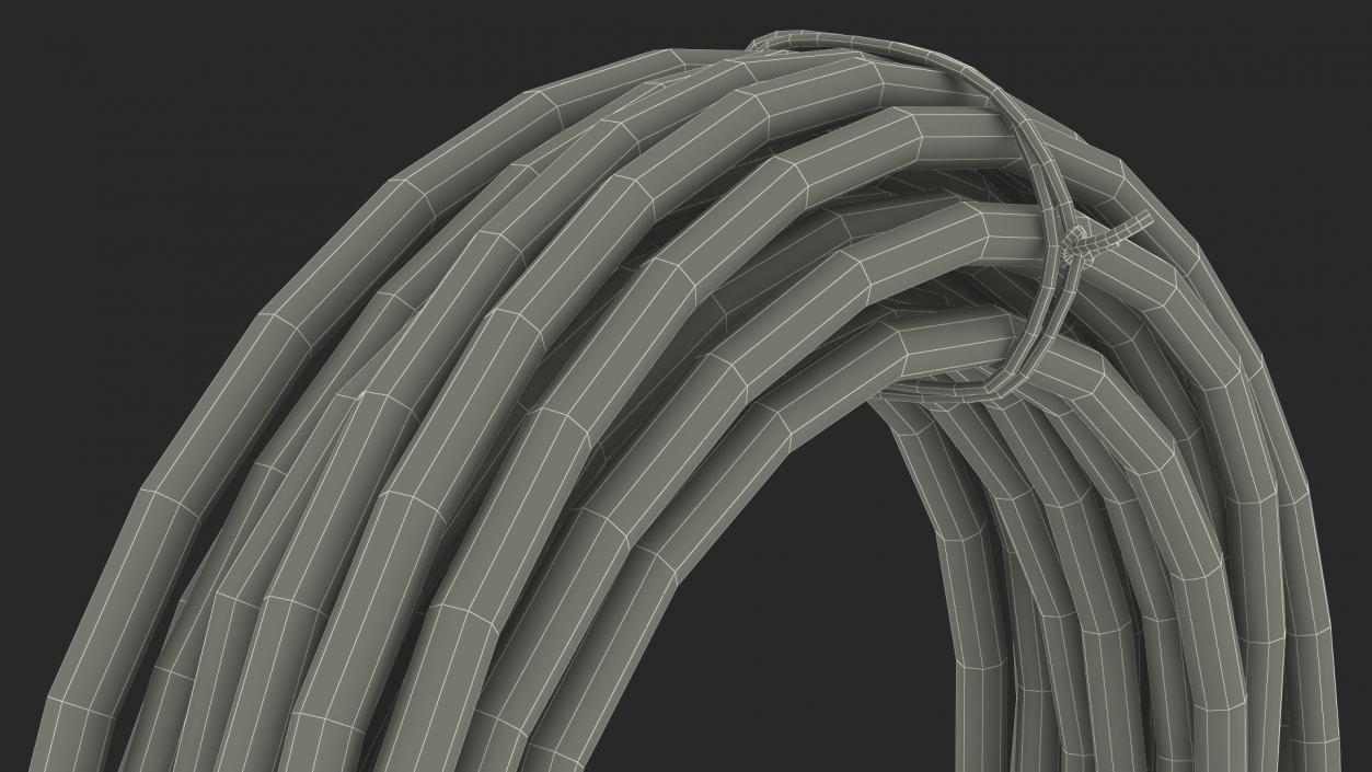 3D Rodeo Lasso Rope Folded model