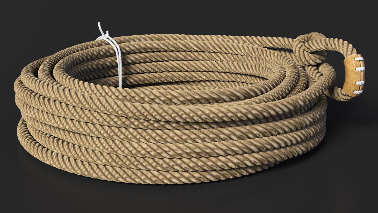 3D Rodeo Lasso Rope Folded model