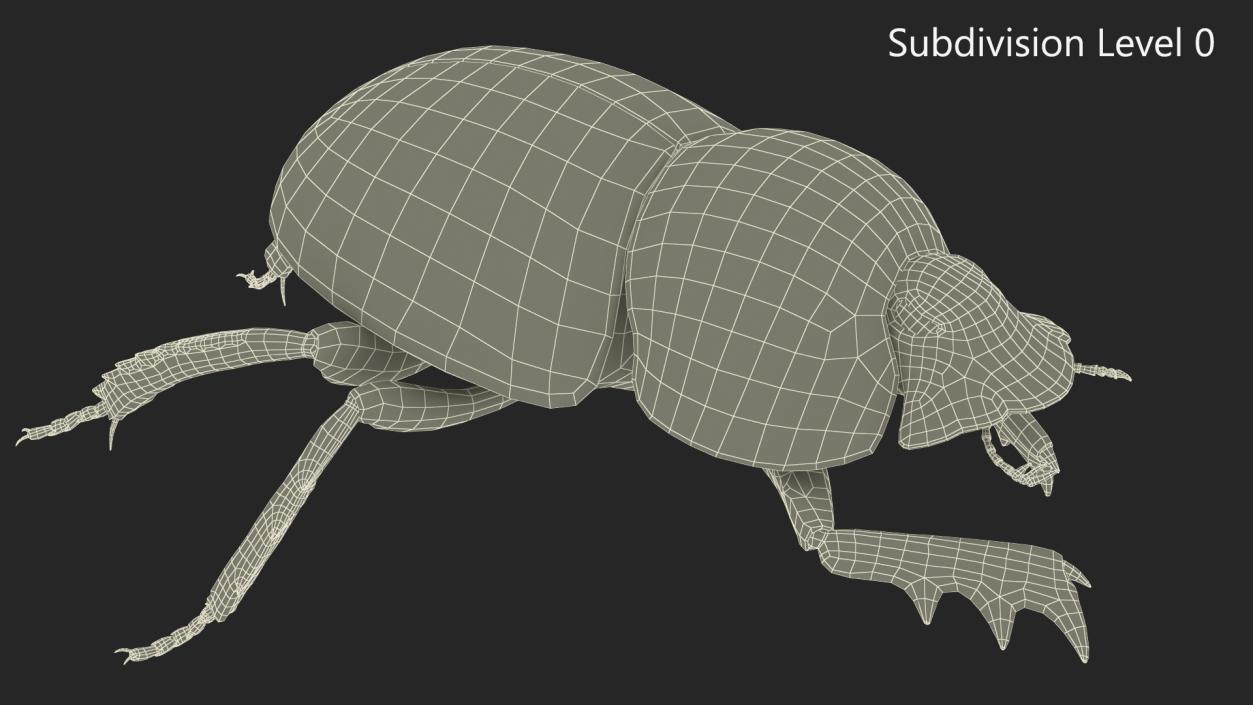 Dung Beetle Crawling Dirt Fur 3D model