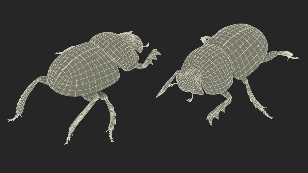 Dung Beetle Crawling Dirt Fur 3D model