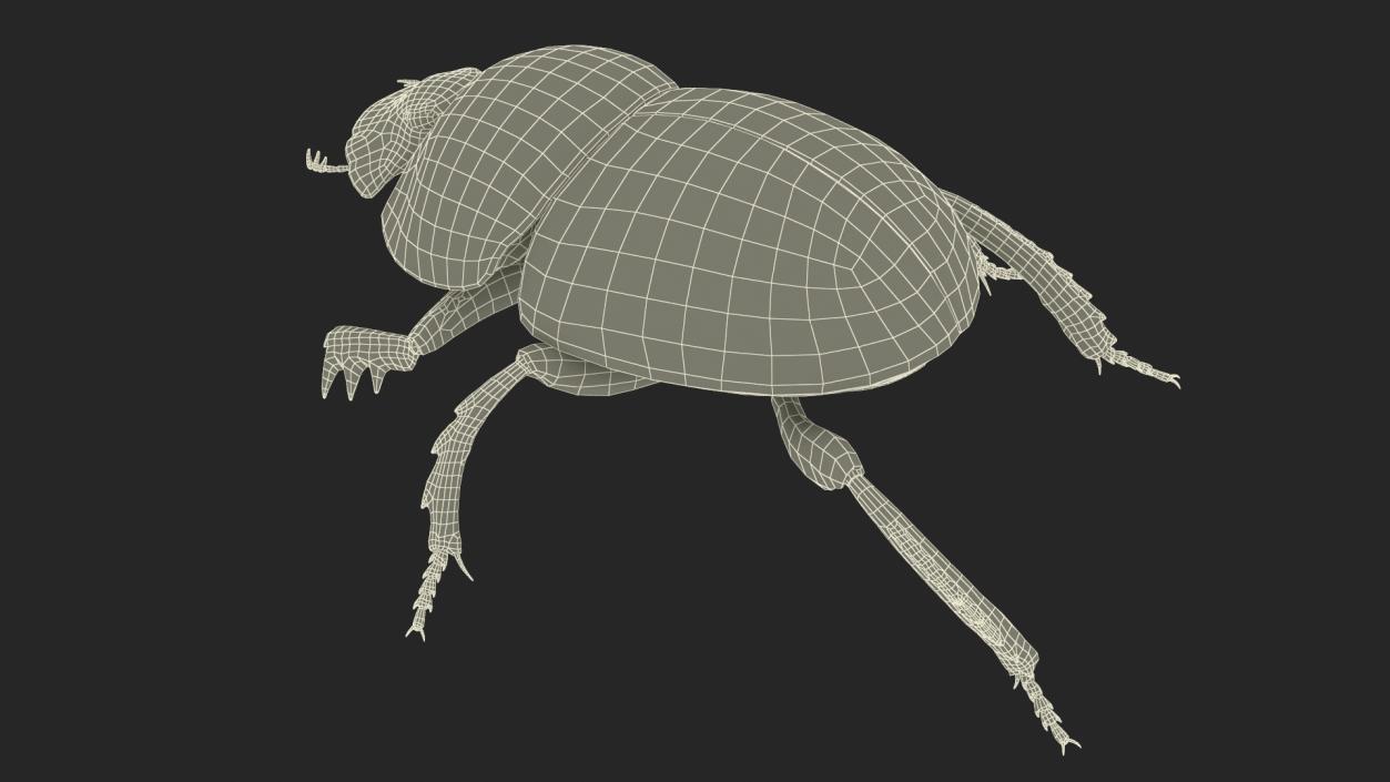 Dung Beetle Crawling Dirt Fur 3D model