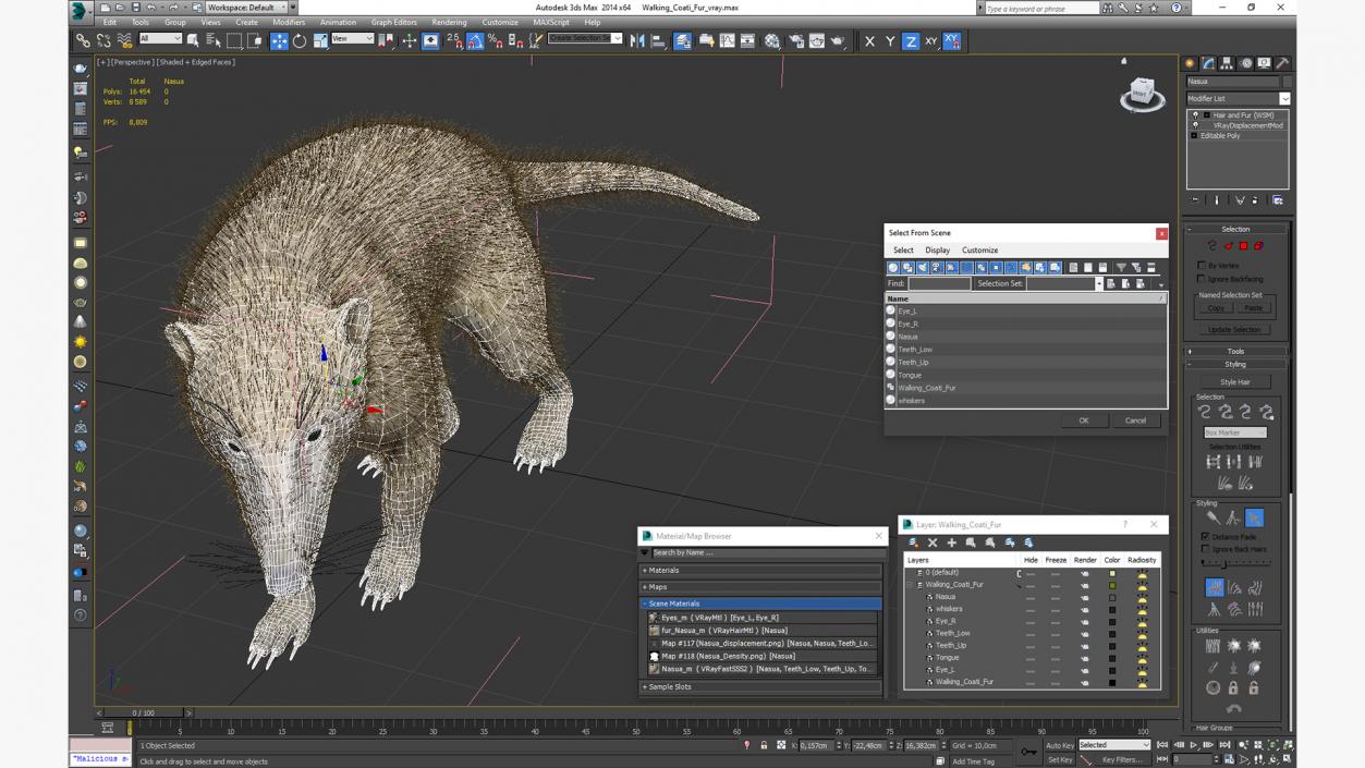 Walking Coati Fur 3D