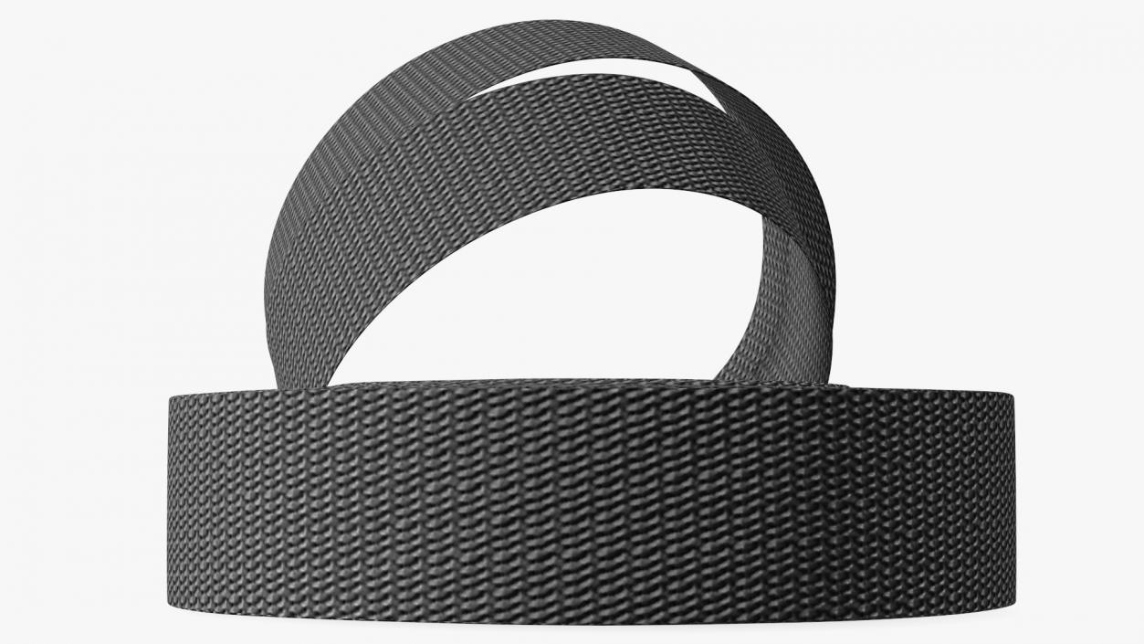 3D model Heavy Duty Webbing Belt Strap Black