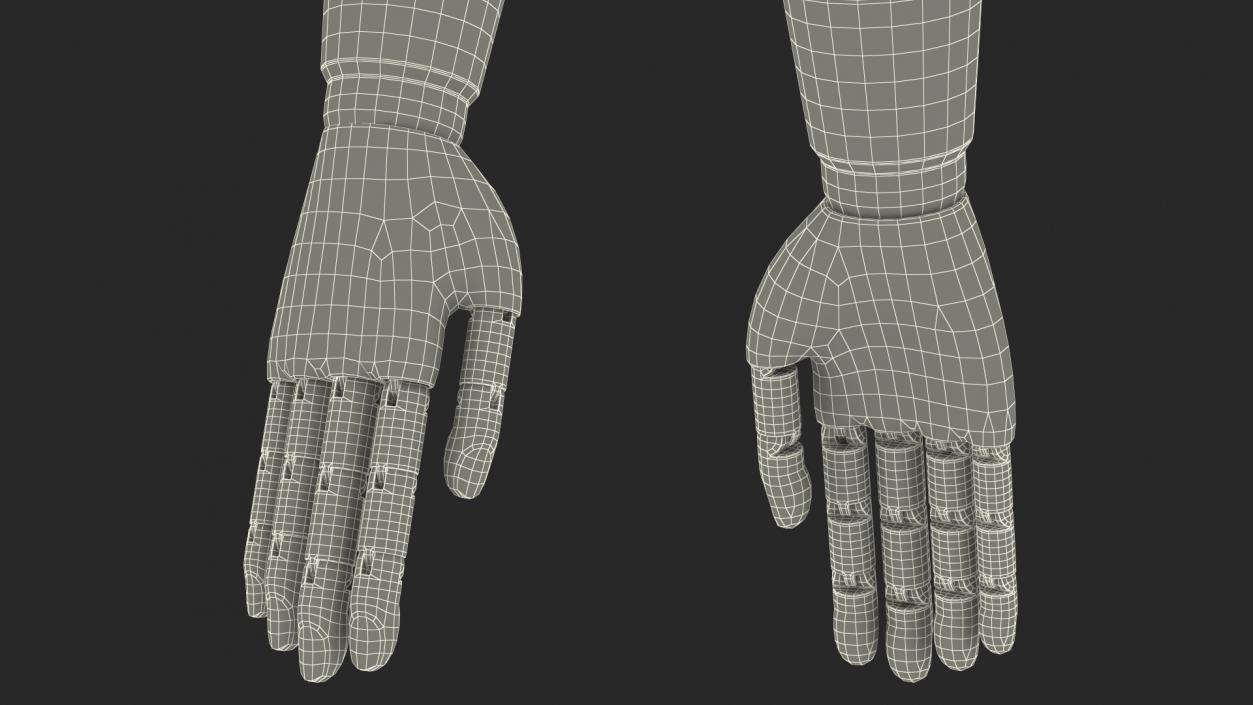 Mannequin Hand Black Rigged 3D