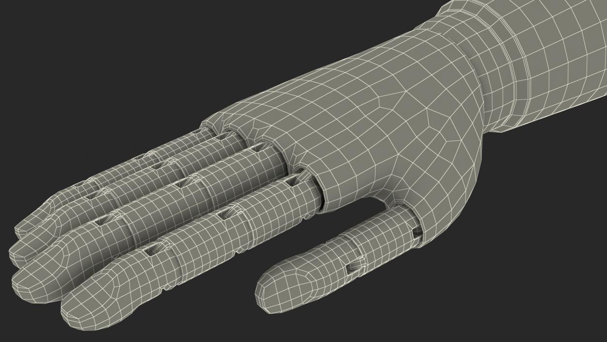 Mannequin Hand Black Rigged 3D