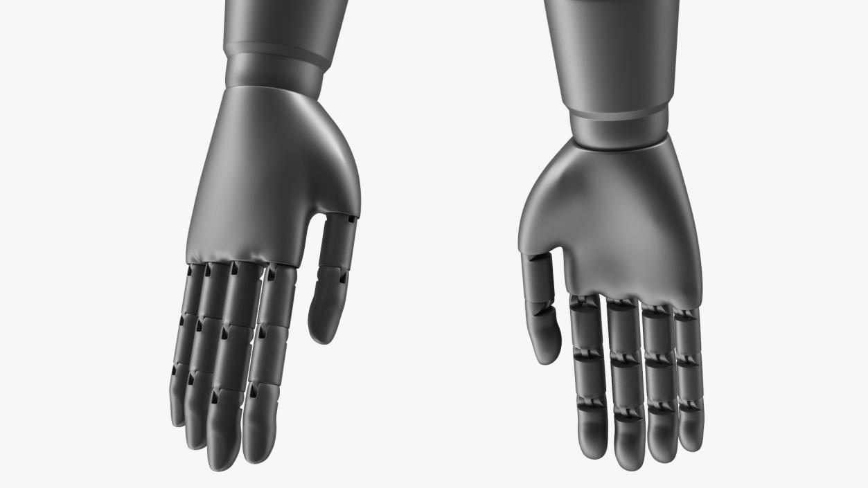 Mannequin Hand Black Rigged 3D