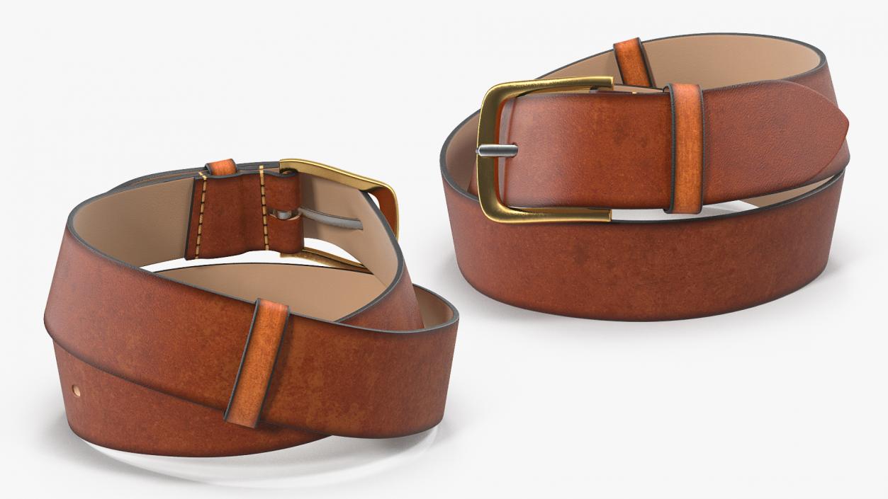 3D Brown Leather Belt model