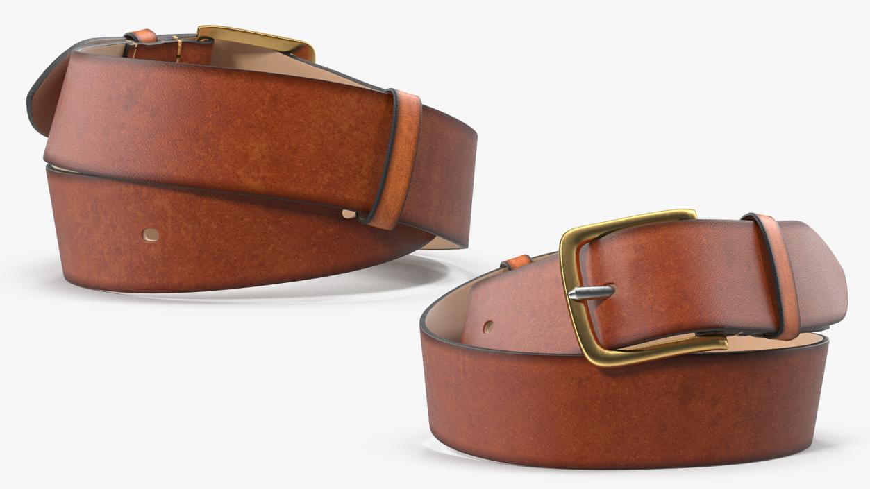 3D Brown Leather Belt model