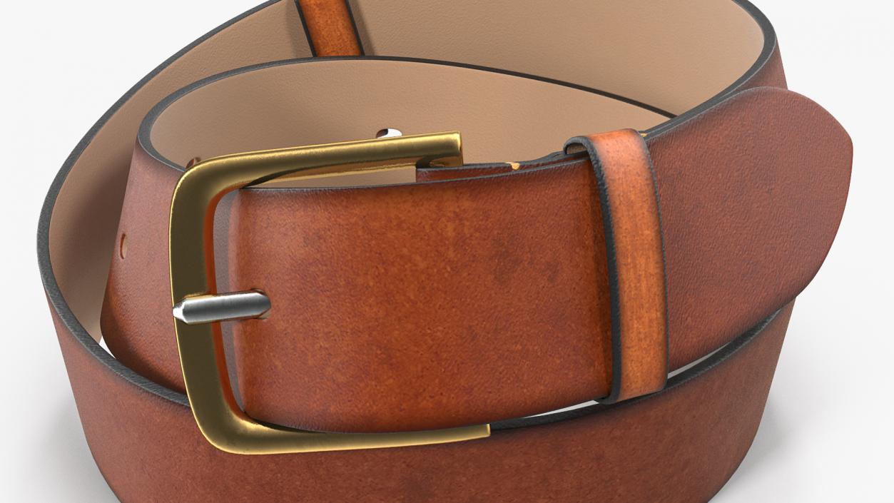 3D Brown Leather Belt model