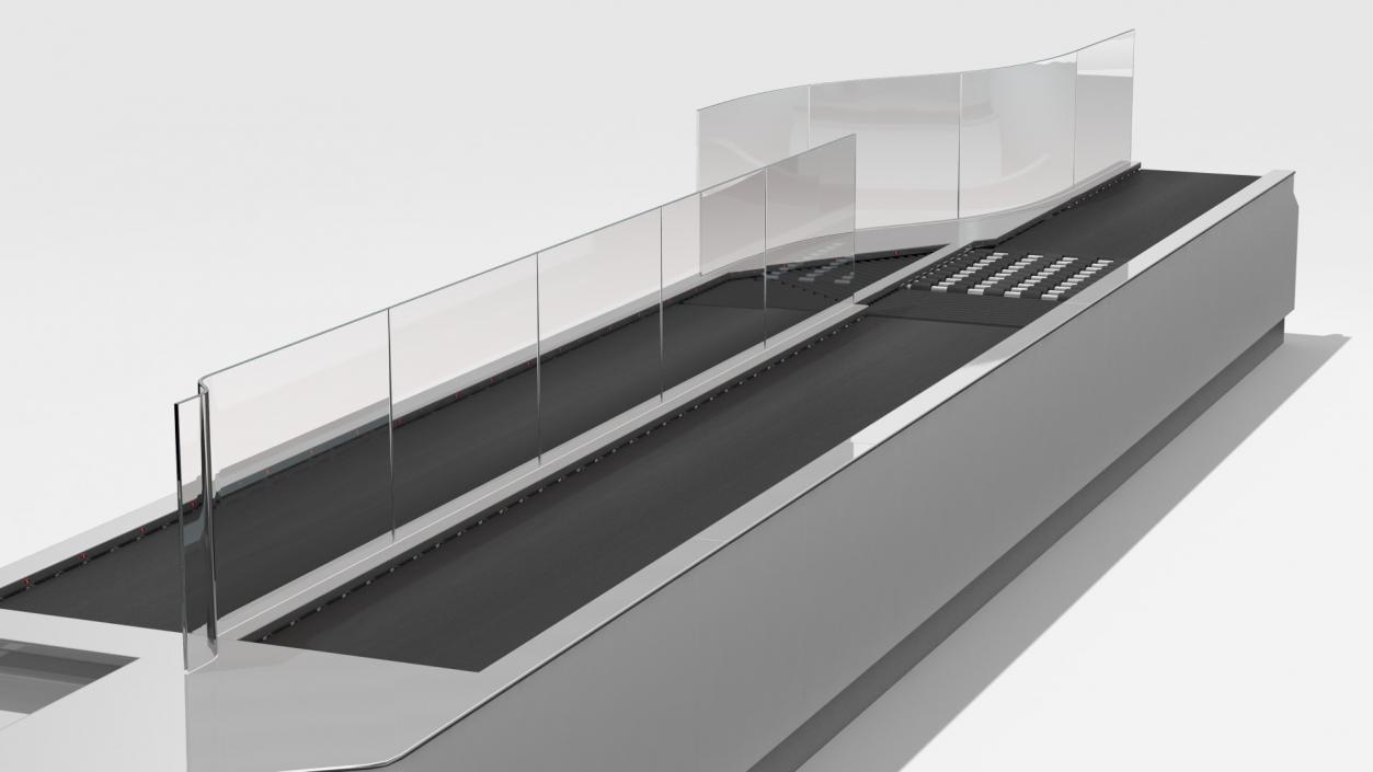 Airport Security Lanes 3D