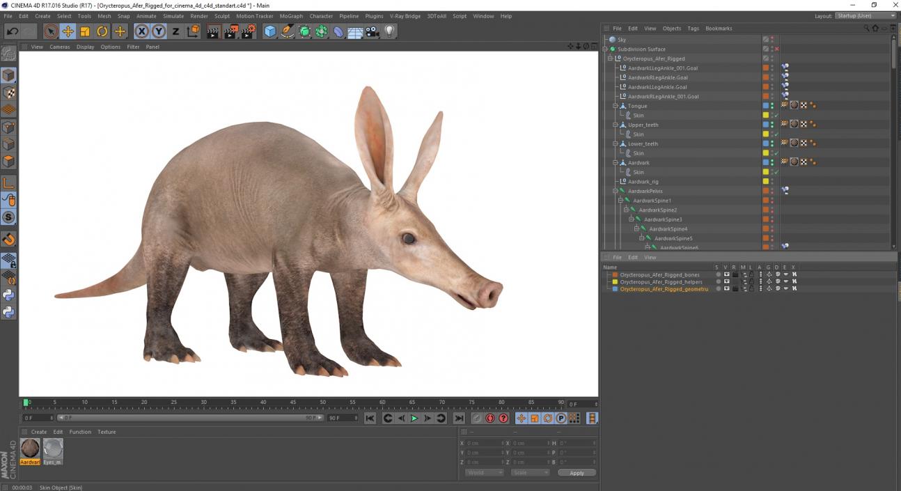 Orycteropus Afer Rigged for Cinema 4D 3D