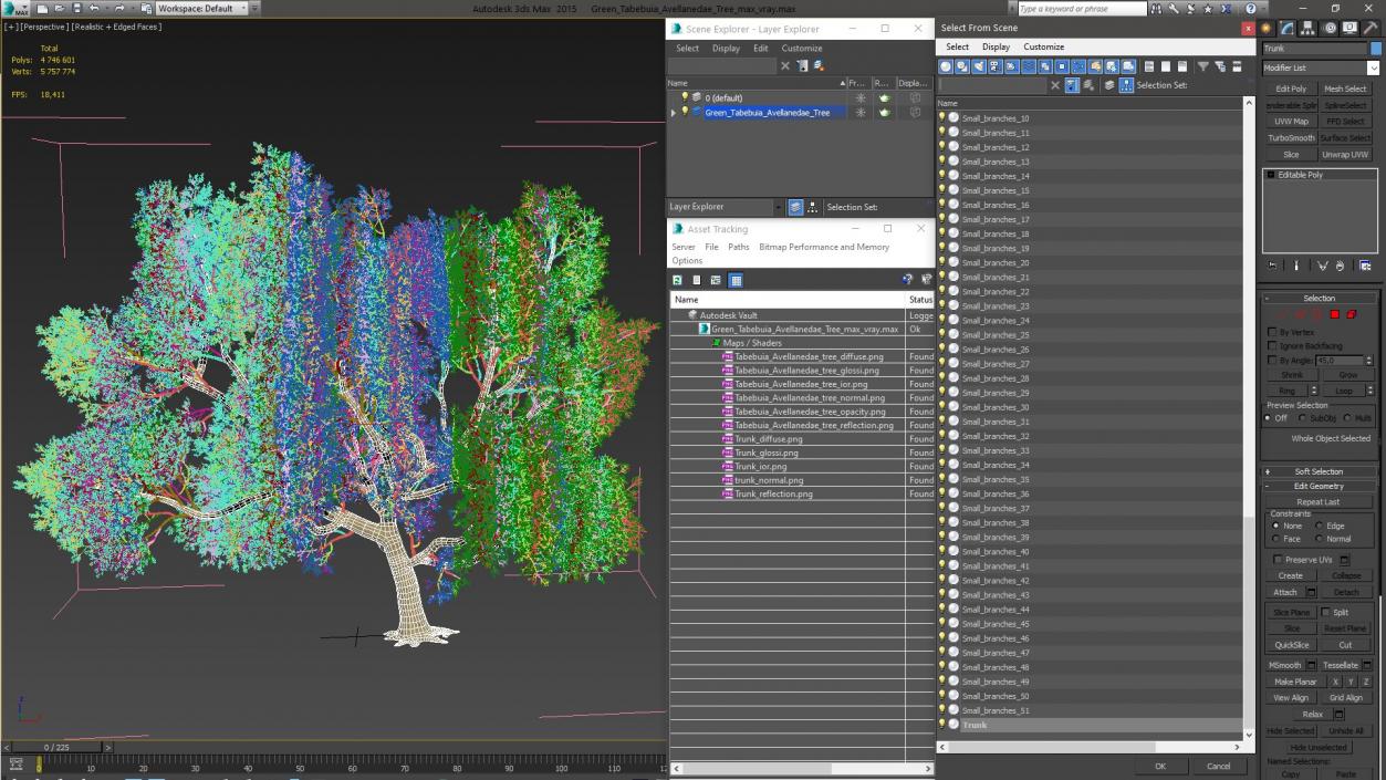 3D Green Tabebuia Avellanedae Tree