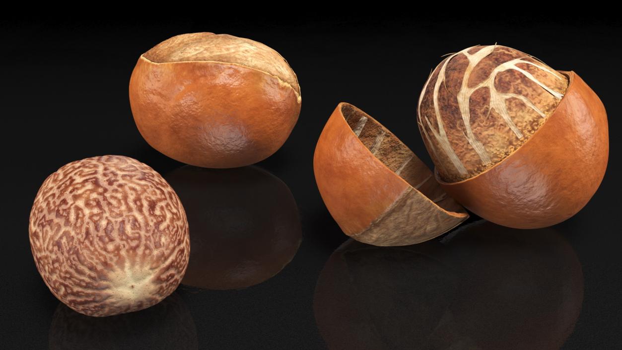 Opened Nuts Collection 3D