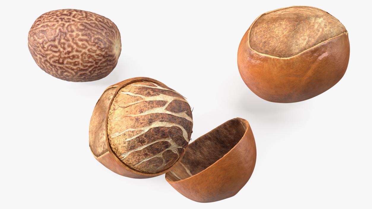 Opened Nuts Collection 3D