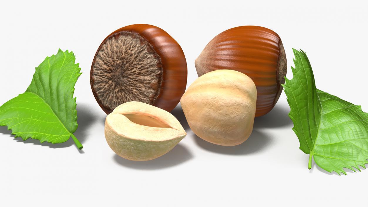 Opened Nuts Collection 3D