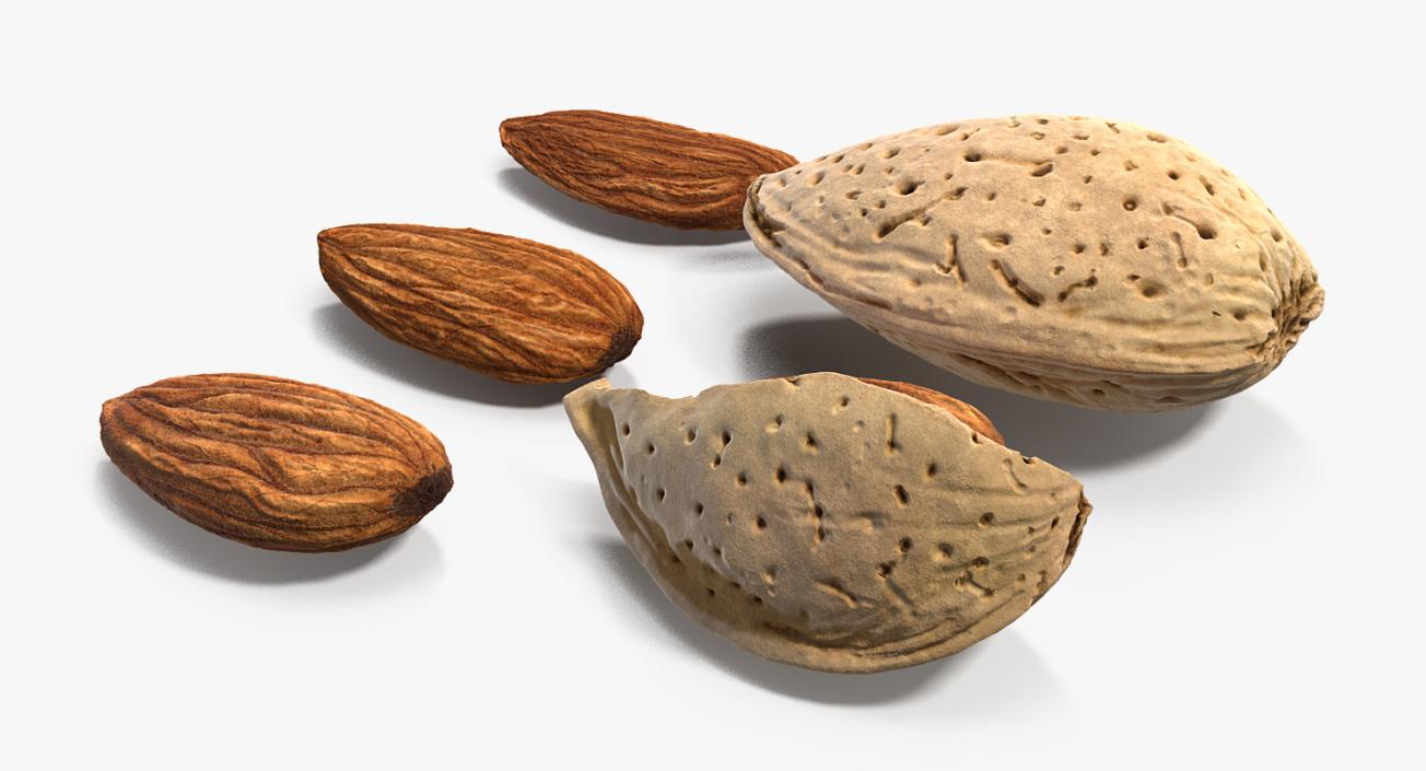 Opened Nuts Collection 3D