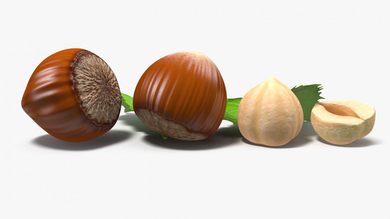 Opened Nuts Collection 3D