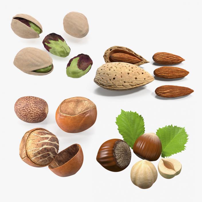 Opened Nuts Collection 3D