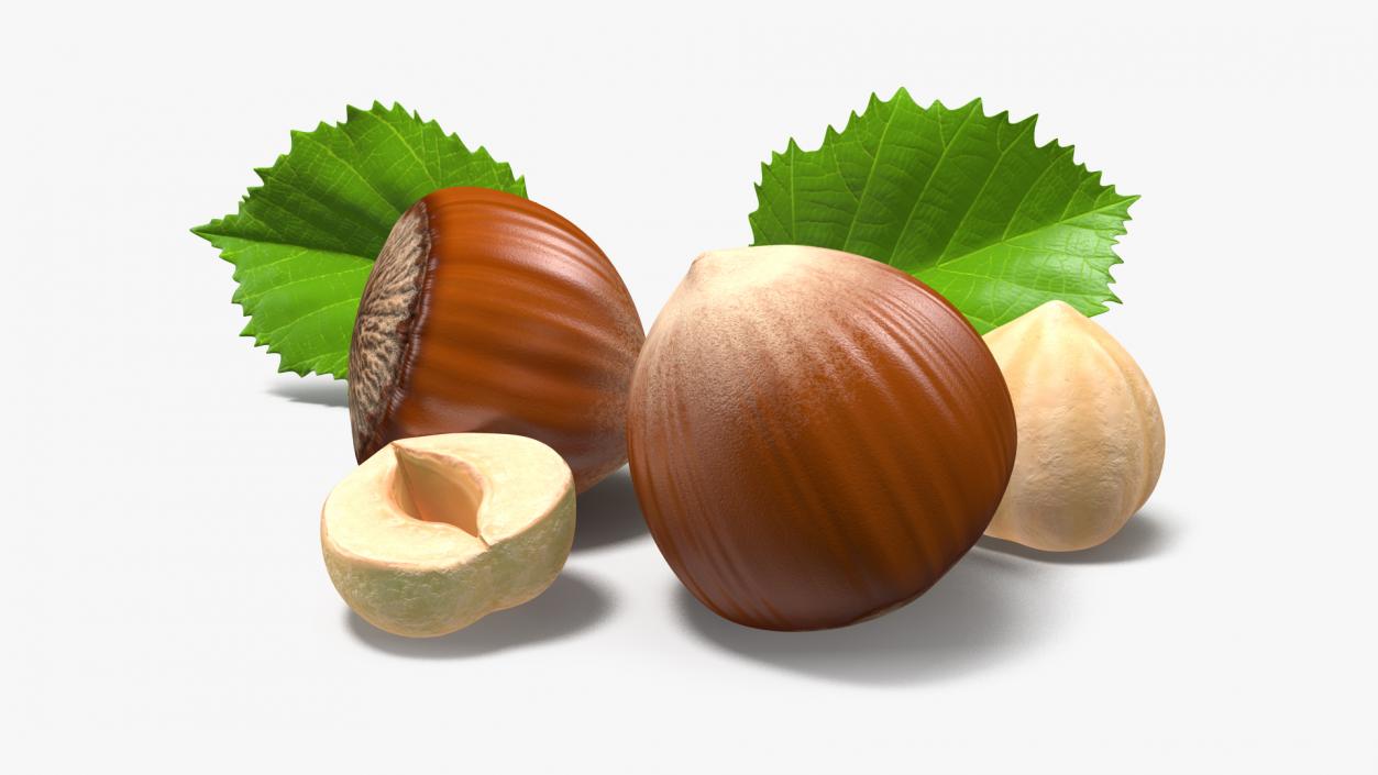 Opened Nuts Collection 3D