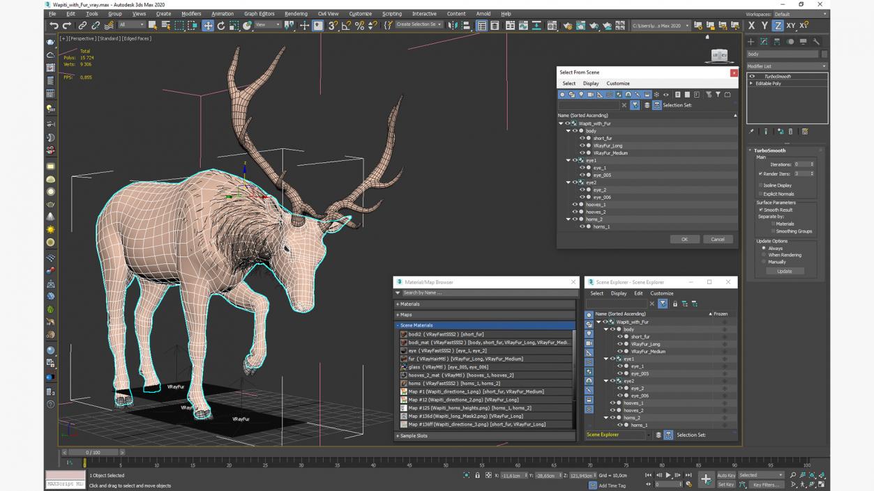 3D model Wapiti with Fur