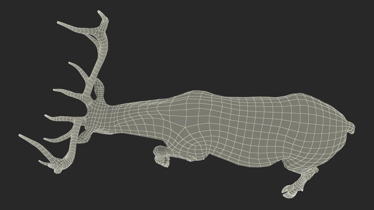 3D model Wapiti with Fur