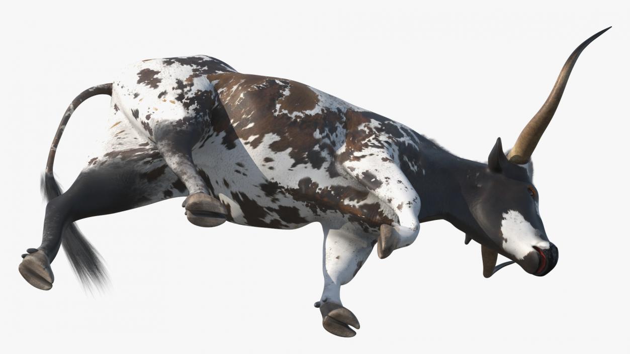 3D model Mottled Brown Longhorn Bull Walking Pose