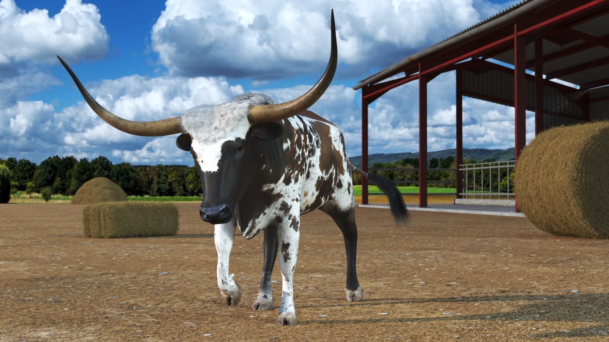 3D model Mottled Brown Longhorn Bull Walking Pose