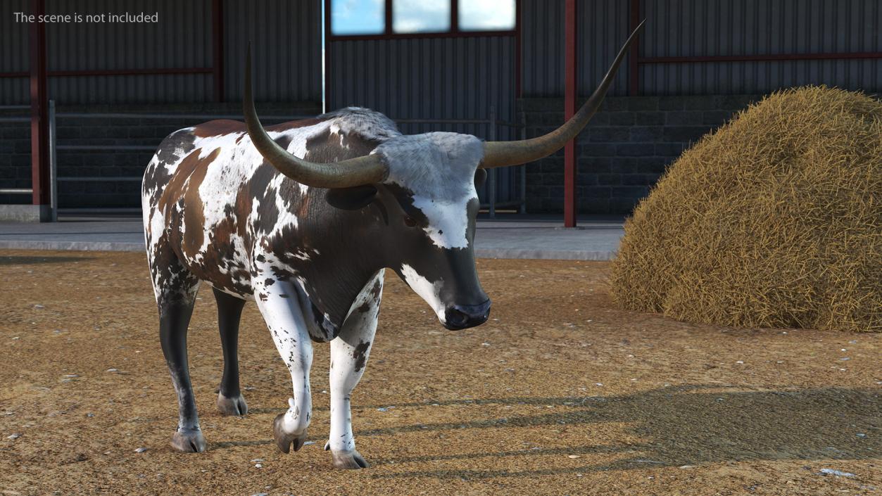 3D model Mottled Brown Longhorn Bull Walking Pose