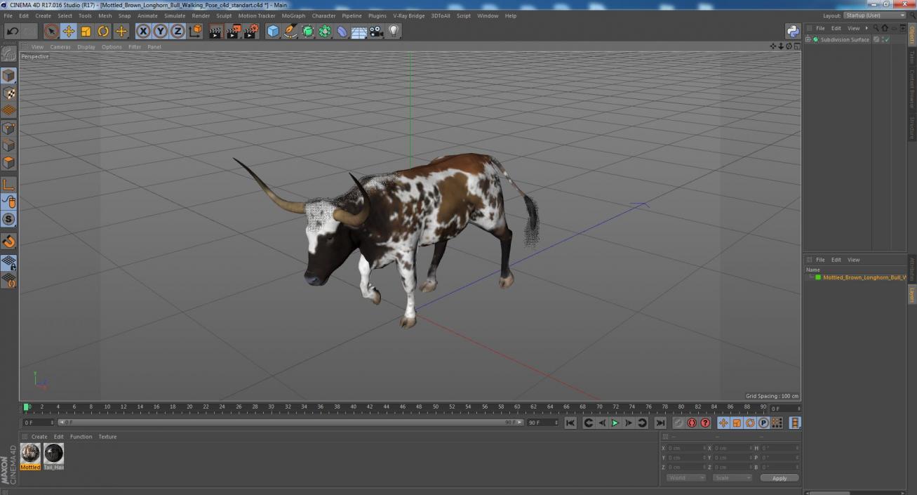 3D model Mottled Brown Longhorn Bull Walking Pose