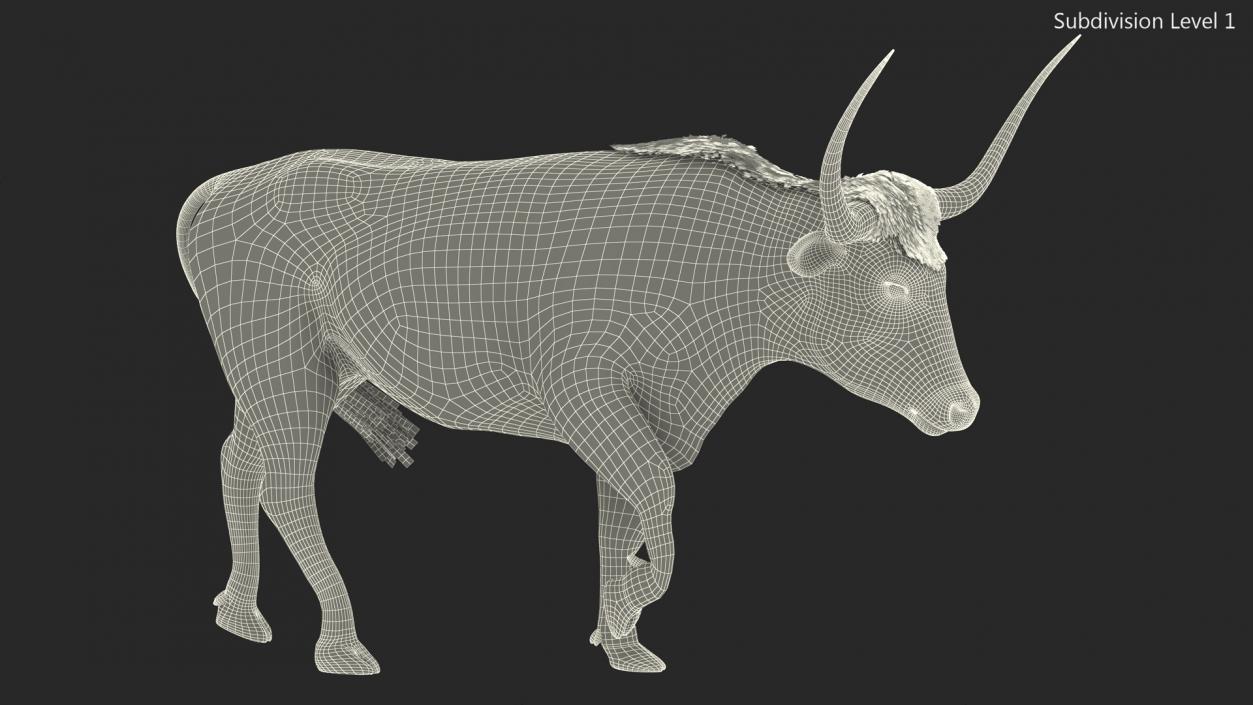 3D model Mottled Brown Longhorn Bull Walking Pose