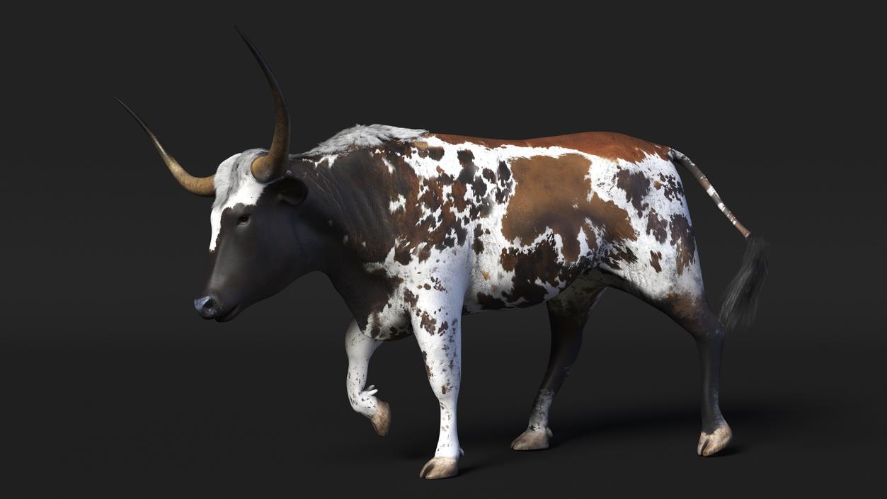 3D model Mottled Brown Longhorn Bull Walking Pose