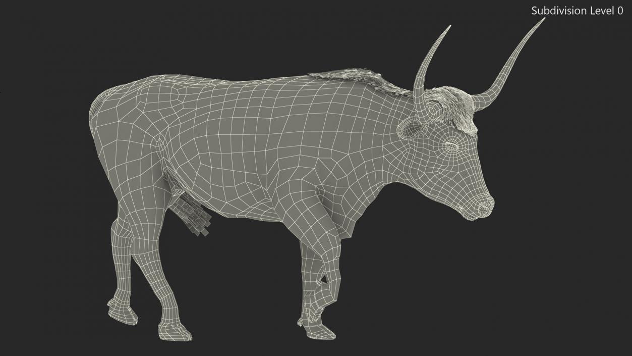 3D model Mottled Brown Longhorn Bull Walking Pose