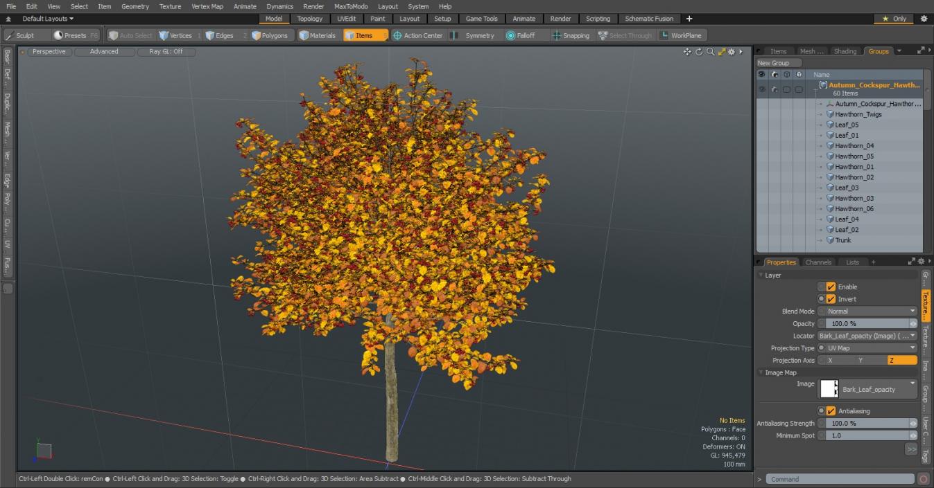 Autumn Cockpur Hawthorn Small with Berries 3D