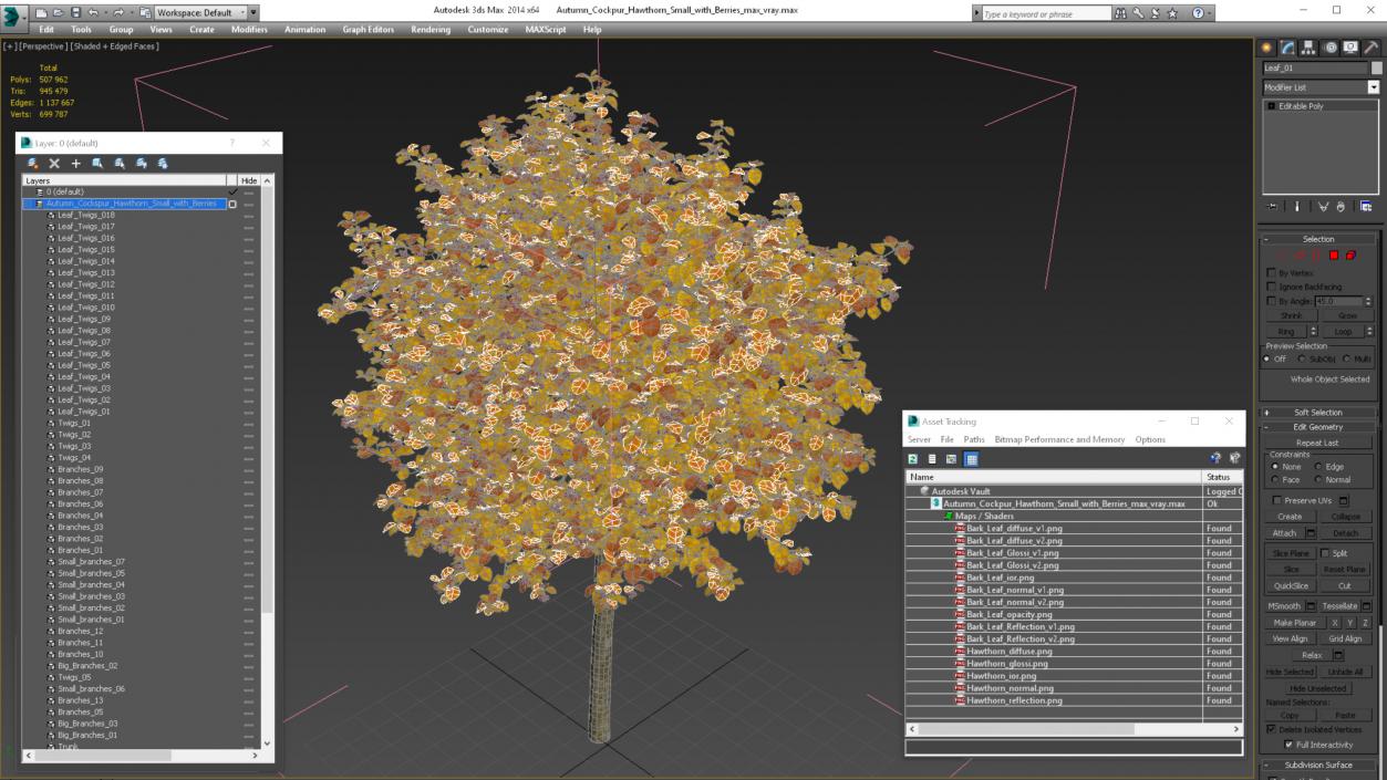 Autumn Cockpur Hawthorn Small with Berries 3D