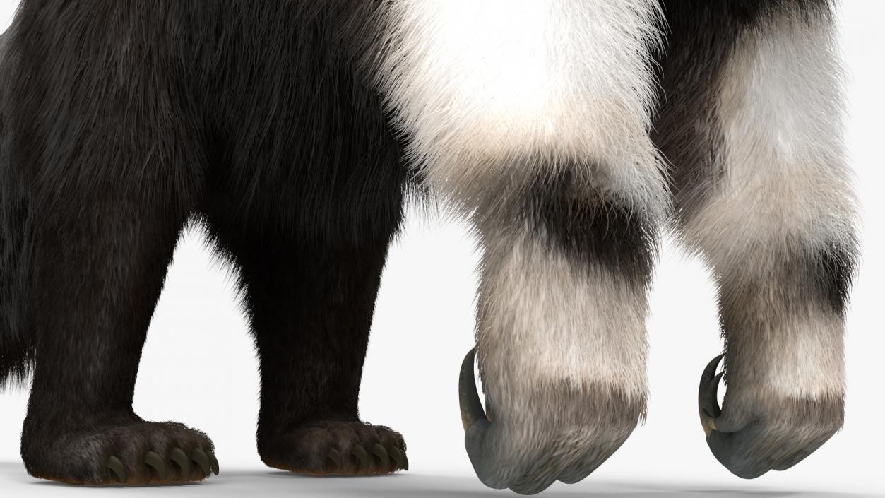 Anteater Rigged Fur 3D model