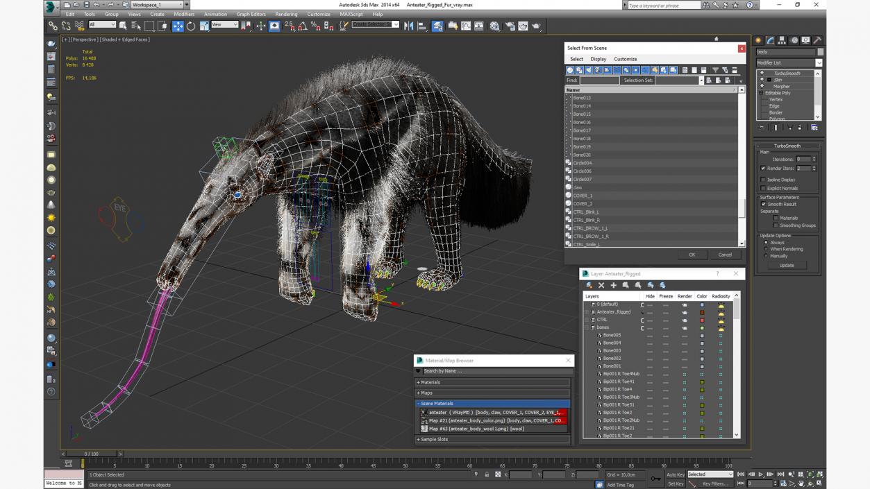 Anteater Rigged Fur 3D model