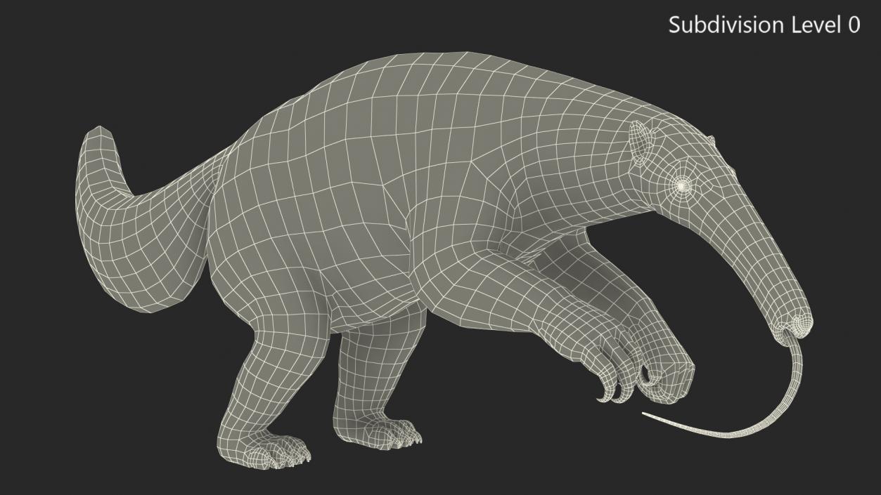 Anteater Rigged Fur 3D model