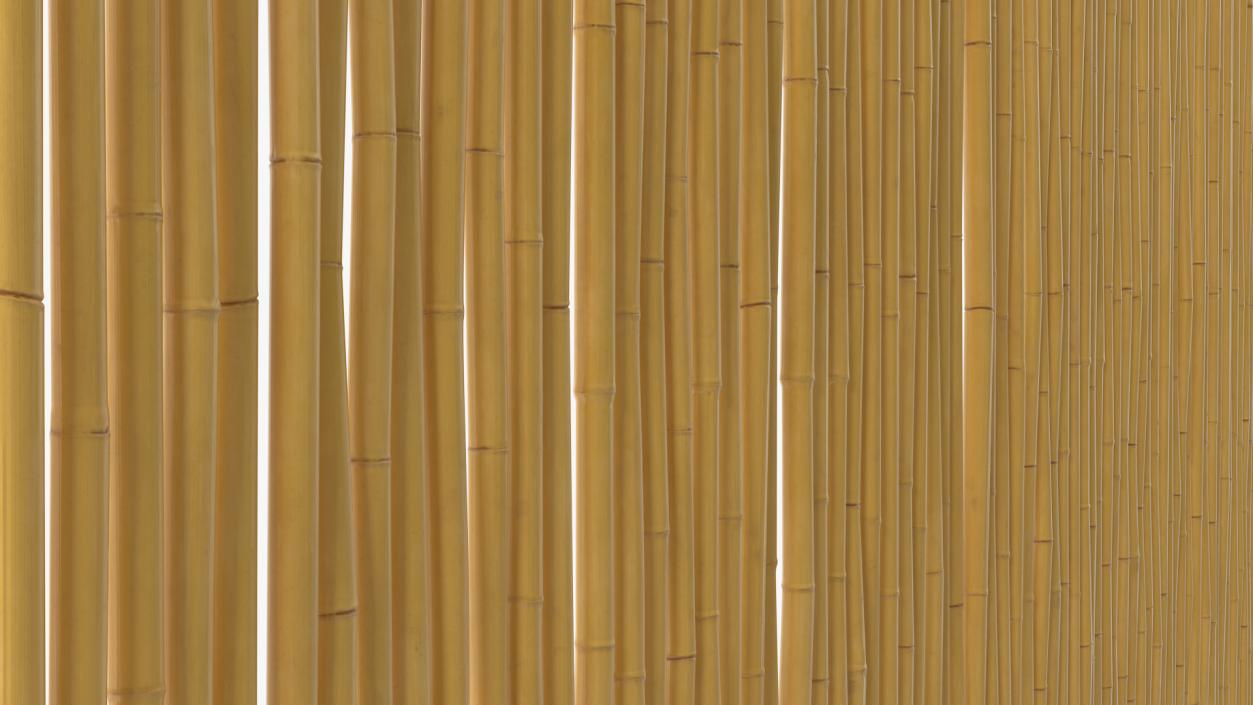 3D model Bamboo Wall Covering