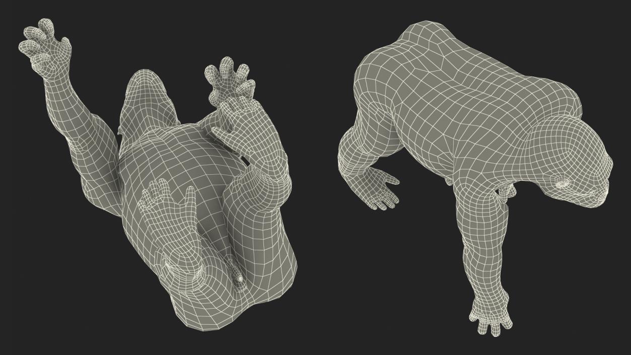 3D Eastern Gorilla Walking Pose model