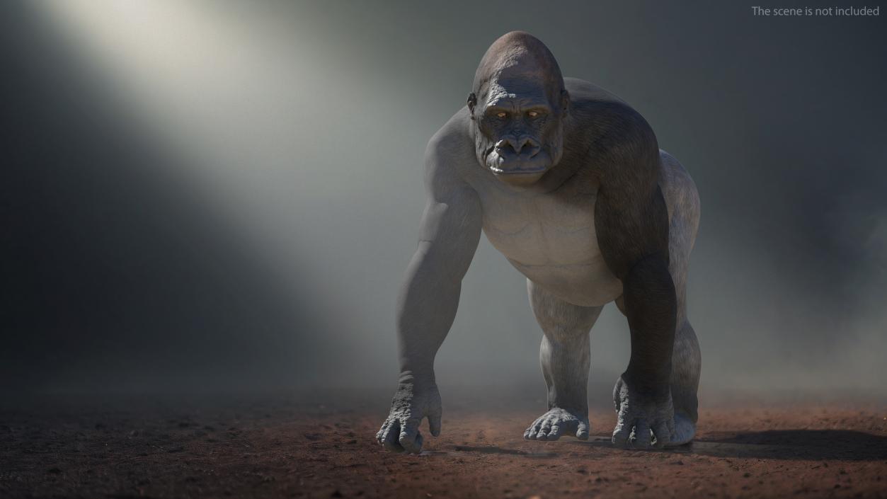 3D Eastern Gorilla Walking Pose model