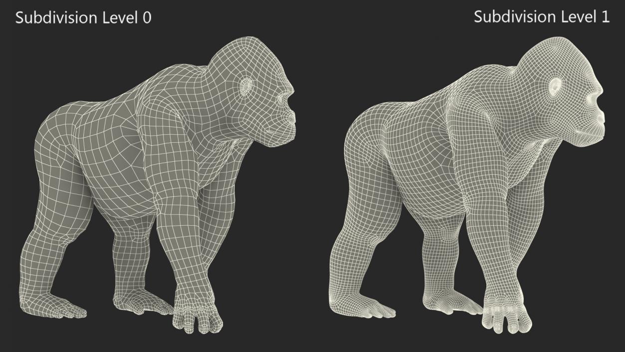 3D Eastern Gorilla Walking Pose model