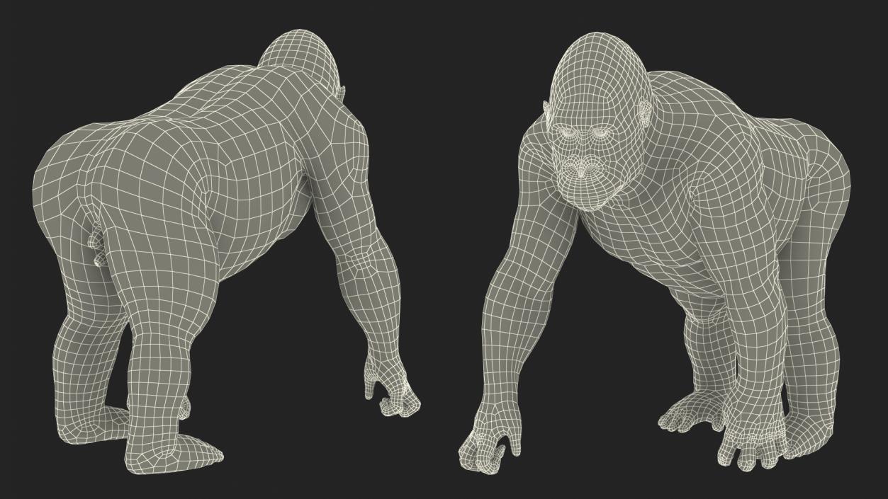 3D Eastern Gorilla Walking Pose model