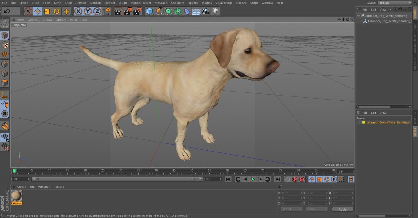 Labrador Dog White Standing 3D