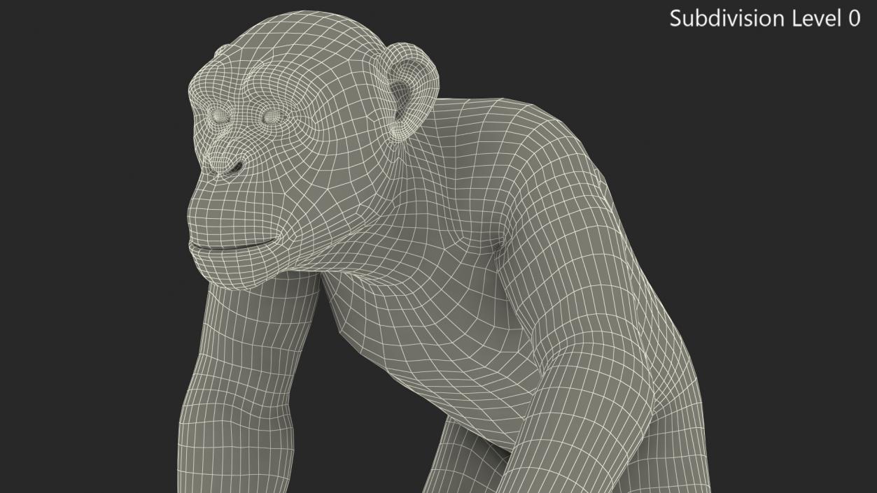 Walking Light Chimpanzee 3D model